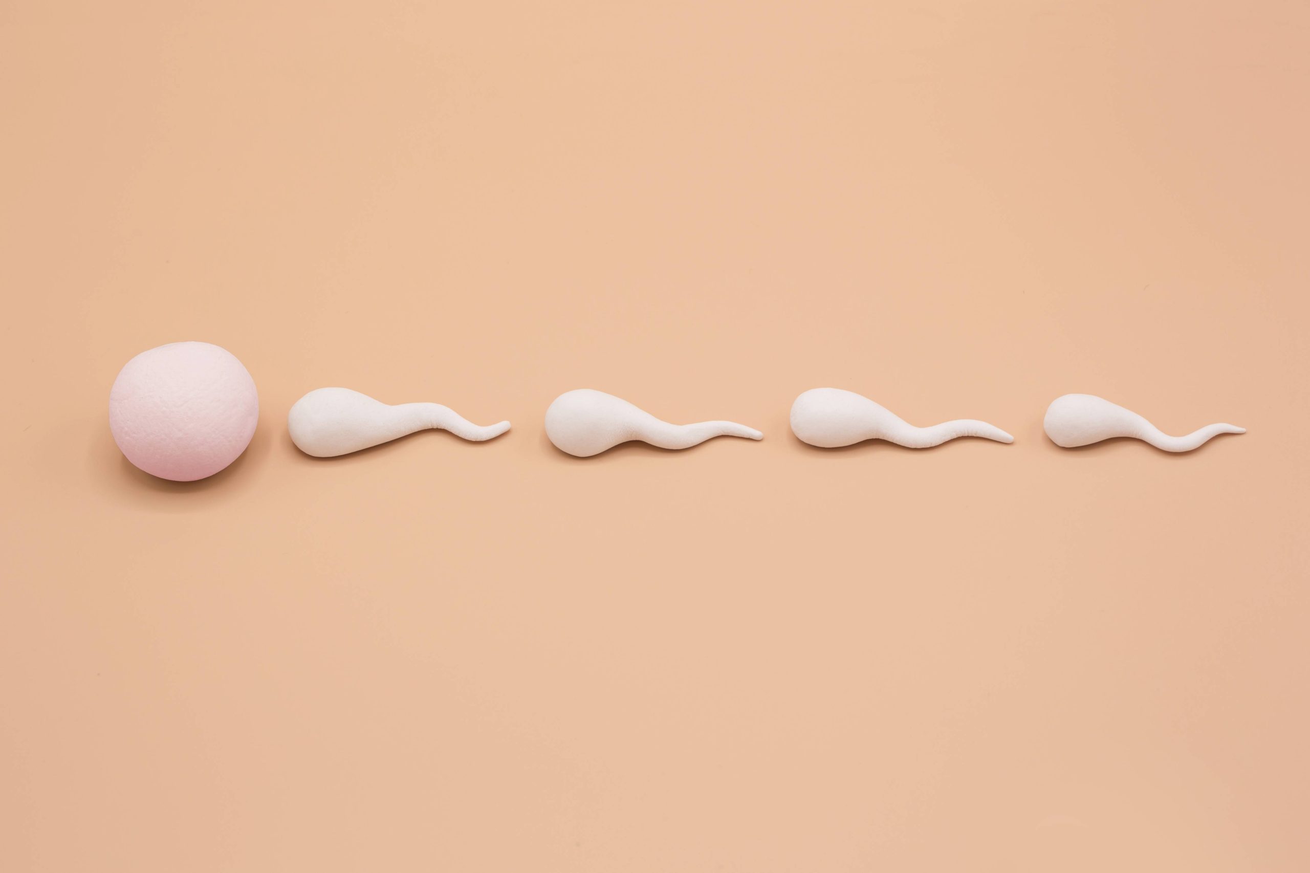 תאי זרע, פוריות הגבר